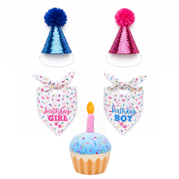 Birthday Celebration Set