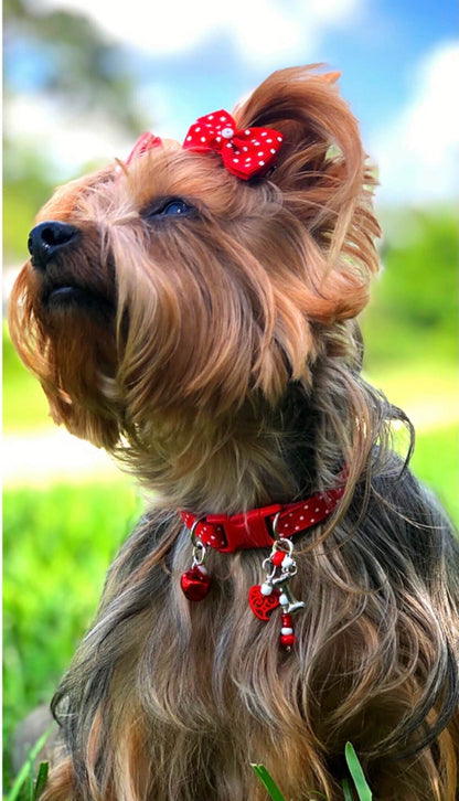Red Polka Dots - Standard Collar