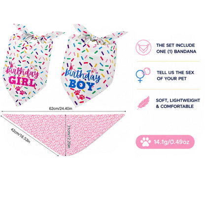 Birthday Celebration Set