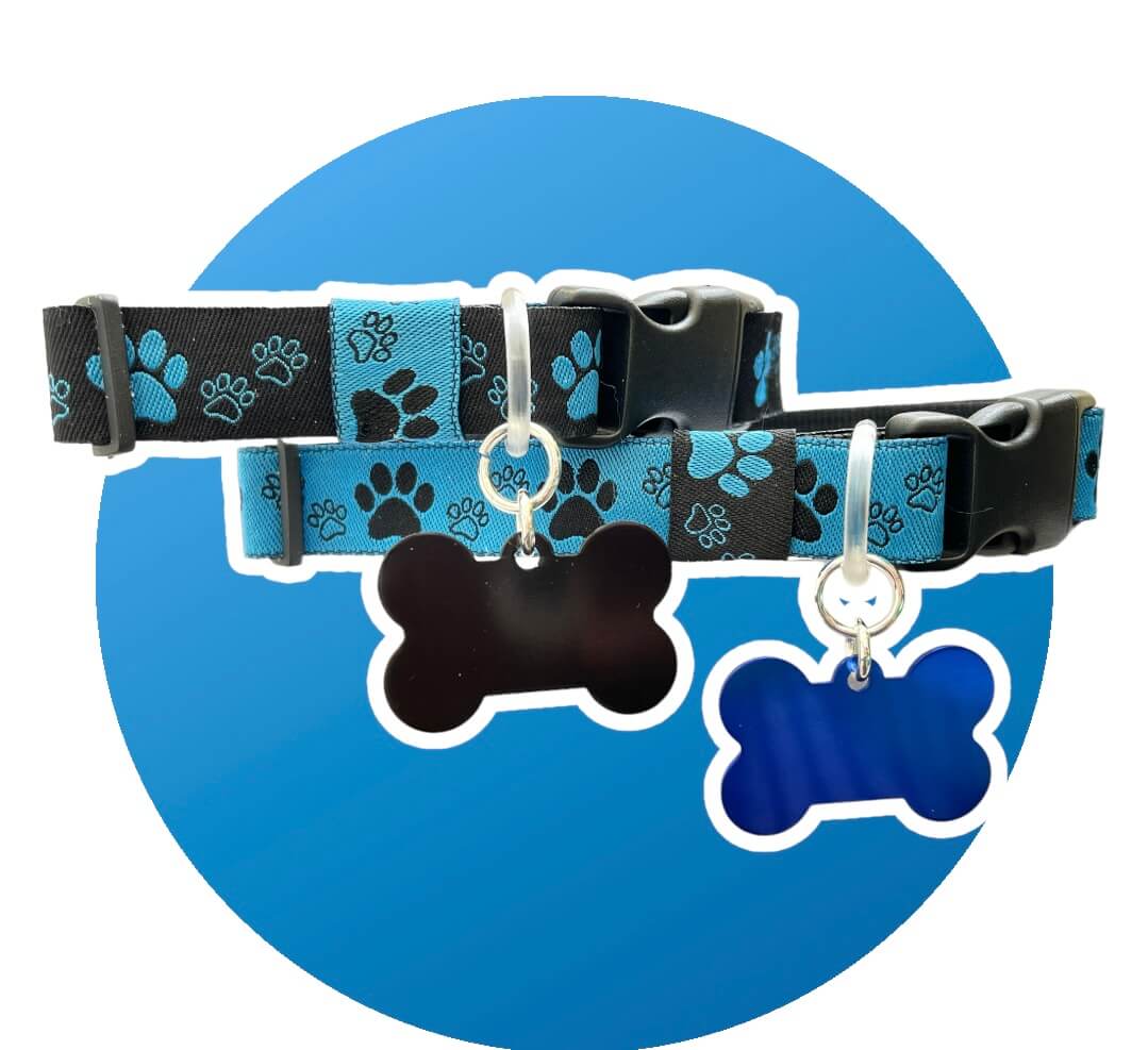 Blue bg &amp; Black Paw - Wide Collar