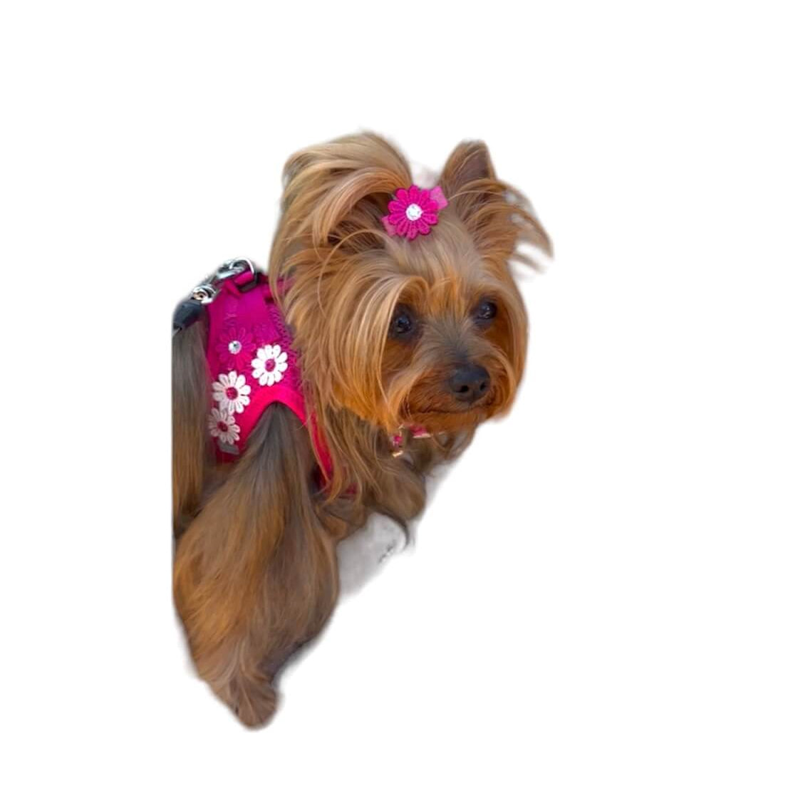Flower Fuchsia Harness