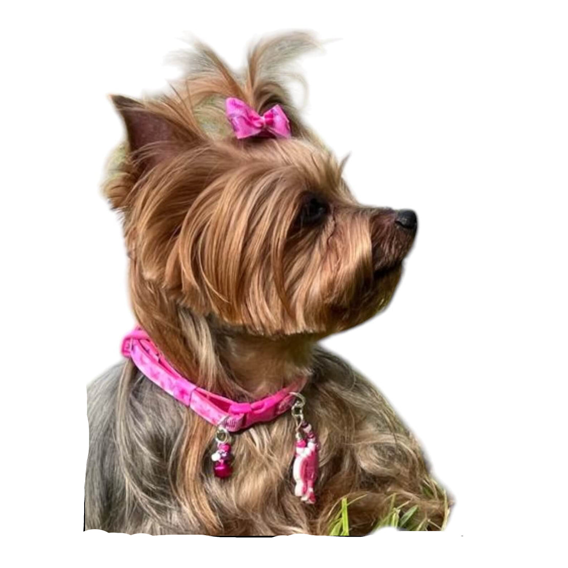 Fashion Collar - Barbie 02