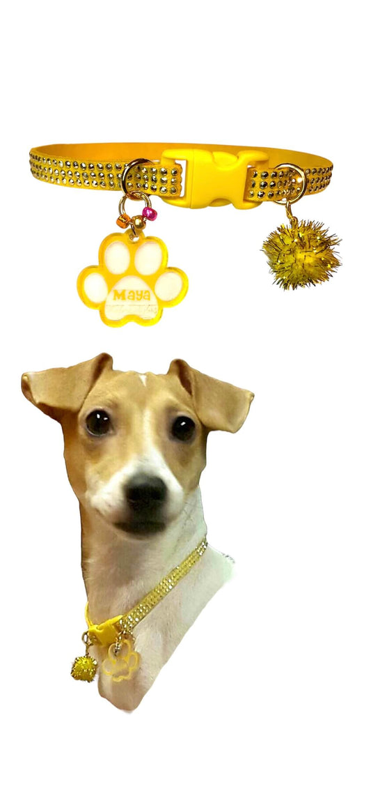 Yellow Collar with Gold Inlays