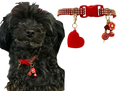Red Collar with Gold Inlays