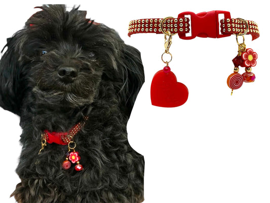 Red Collar with Gold Inlays