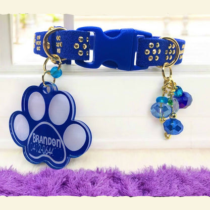 Blue 5pts Collar with Gold Inlays