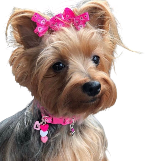Fuchsia Floral Heart  Dog Bow