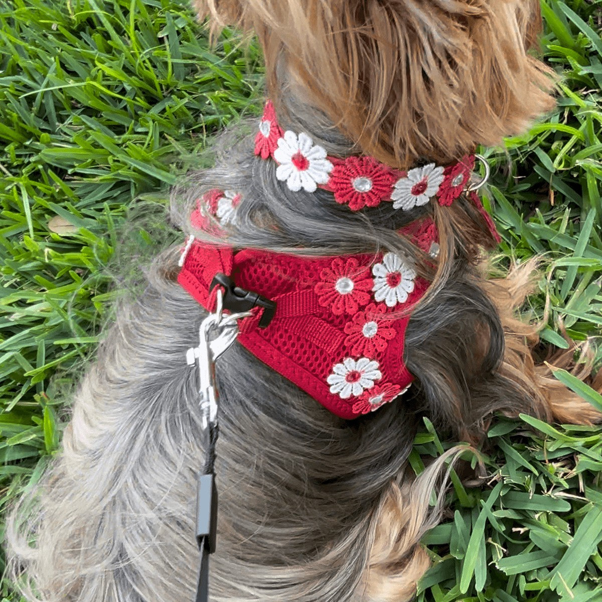 Flower Red Harness
