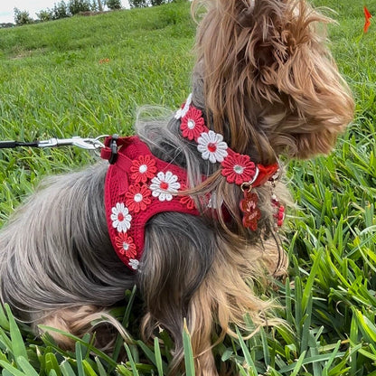 Flower Red Harness