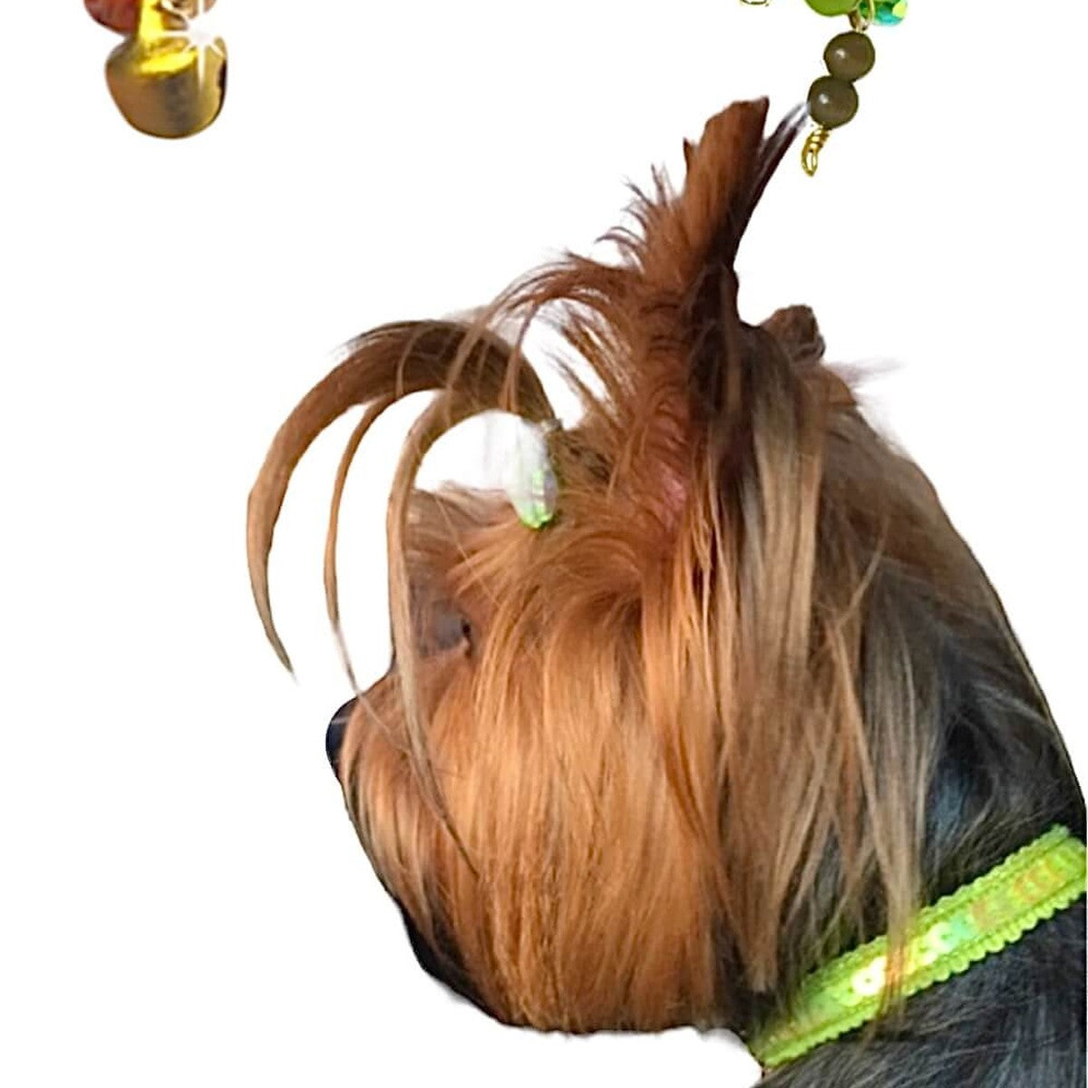 Green Sequins Collar 02