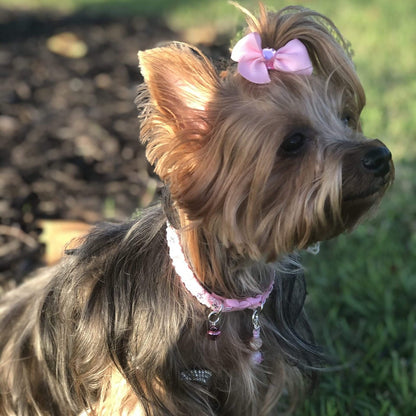 Pink Sequins Collar