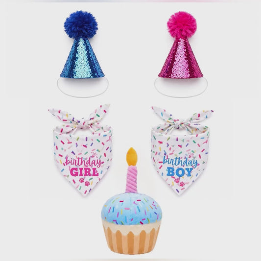 Birthday Celebration Set