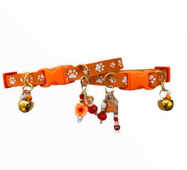 Orange Paw Print - Standard Collar - Image 6