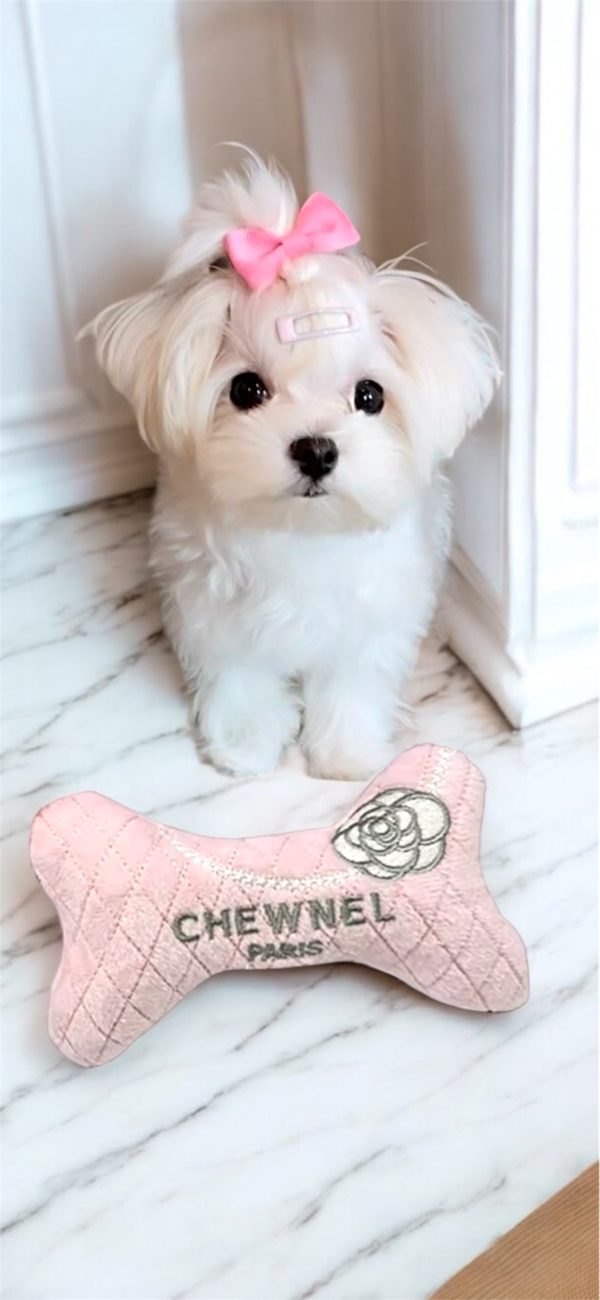 Stuffed Designer Bone - Pink - Image 3