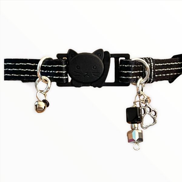 Silver Striped - Standard Collar - Image 2