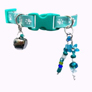 Turquoise - Standard Collar