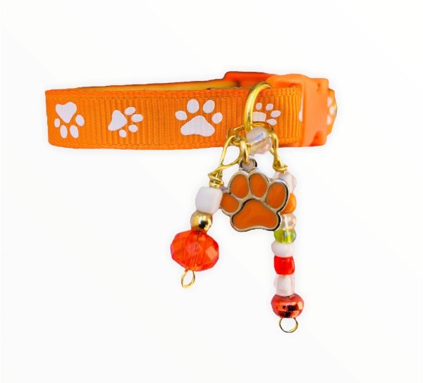 Orange Paw Print - Standard Collar - Image 4