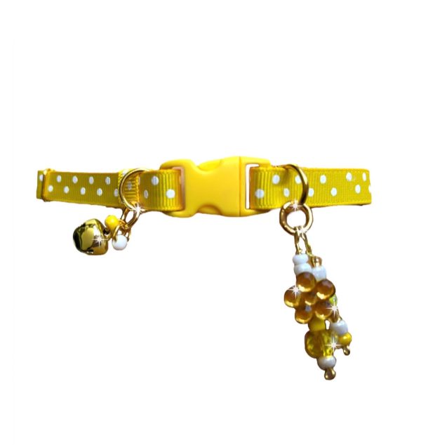 Yellow Polka Dots - Standard Collar