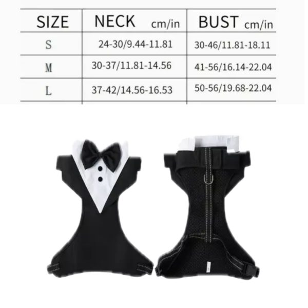 Suit - Male Clothing - Image 6