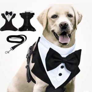 Suit - Male Clothing
