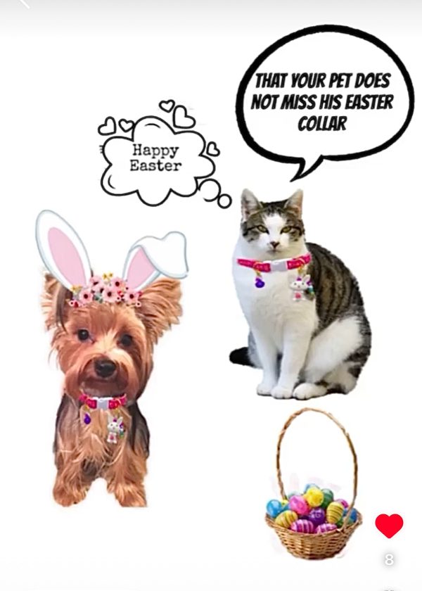 Easter Collar Collection - Rabbit - Image 4