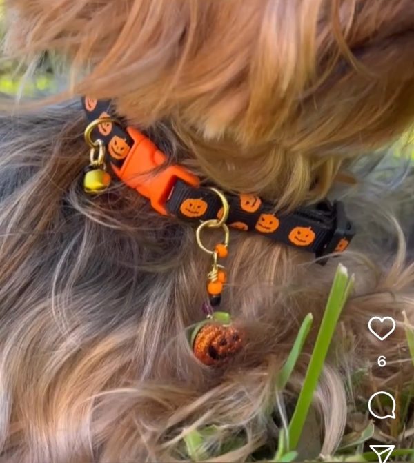 Halloween Collar Collection - 02 - Image 2