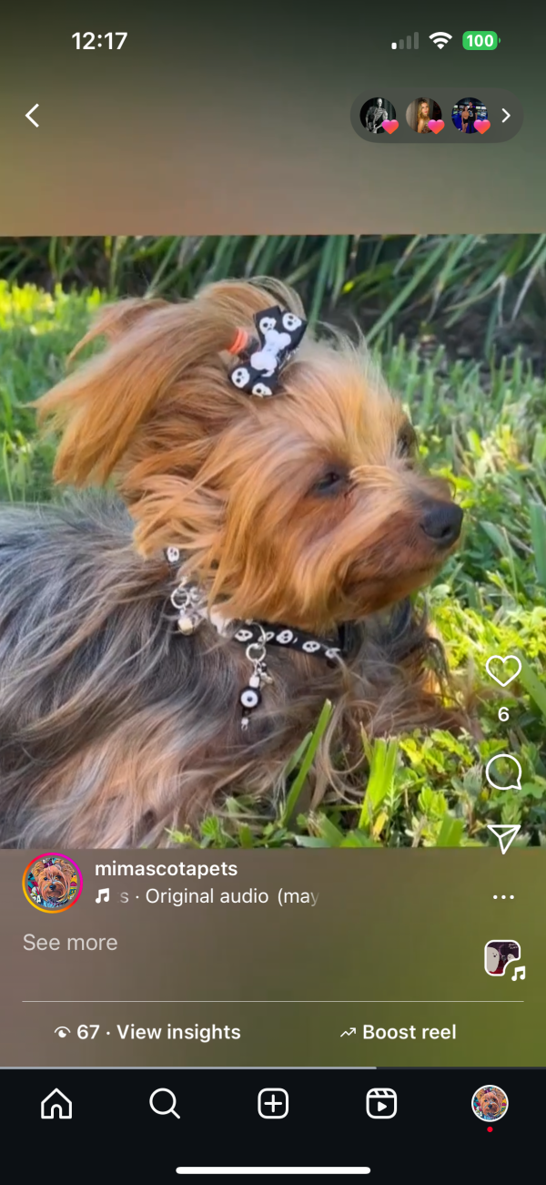 Halloween Collar Collection - 03 - Image 4