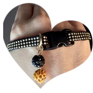 Black Collar with Gold Inlays