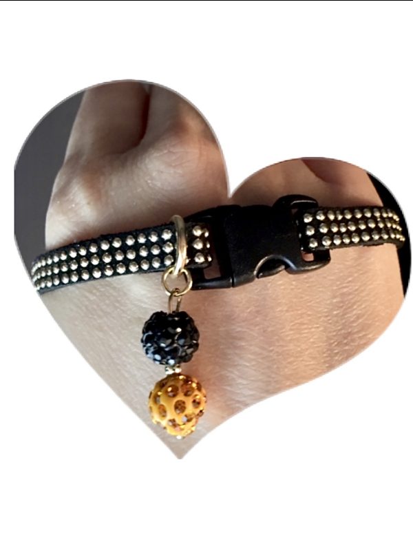 Black Collar with Gold Inlays