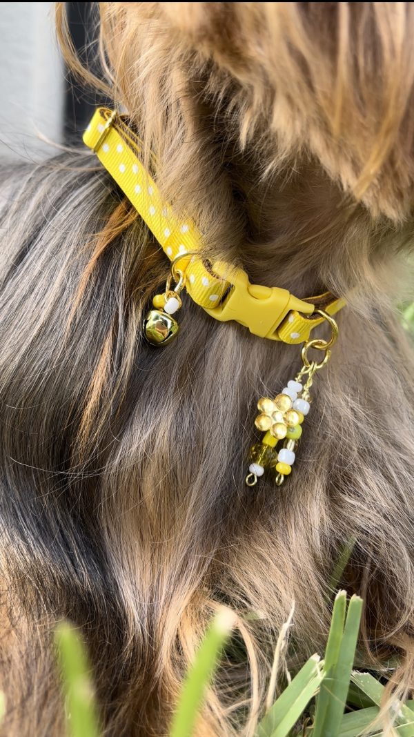 Yellow Polka Dots - Standard Collar - Image 3