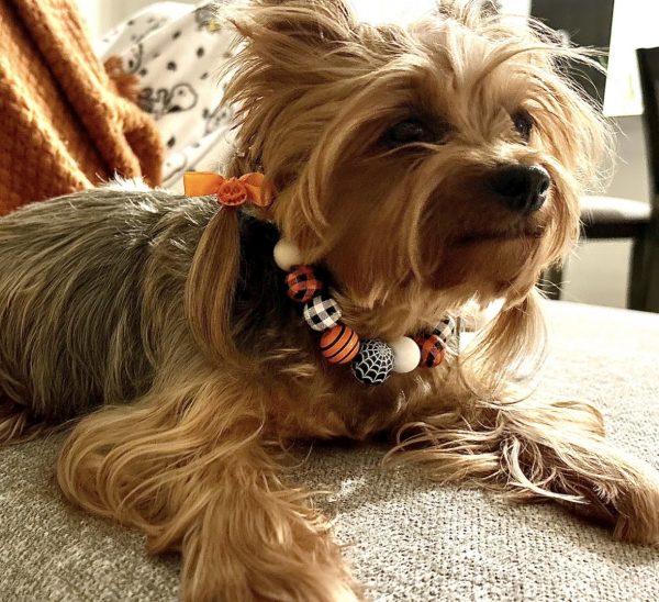 Halloween Collar Collection - 01 - Image 3
