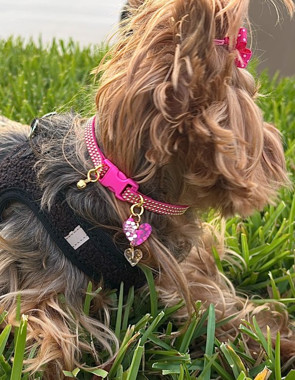 Fuchsia Collar with Gold Inlays - Image 4