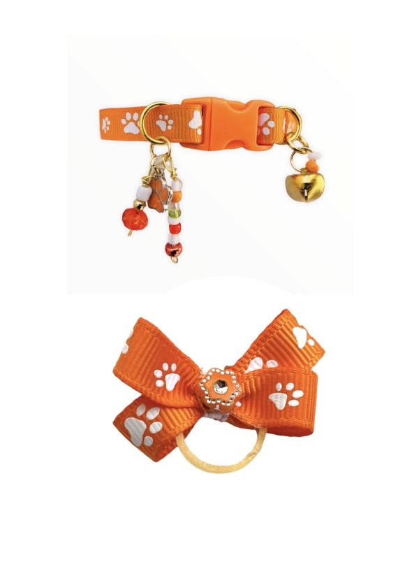 Orange Paw Print - Standard Collar - Image 2