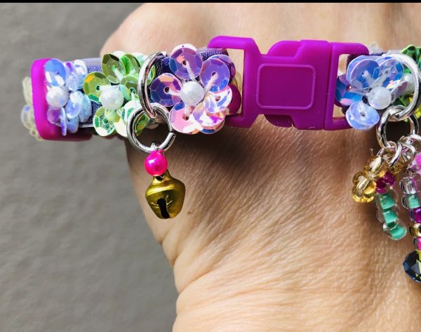 LGBT Collar - Multicolor 04 - Image 2