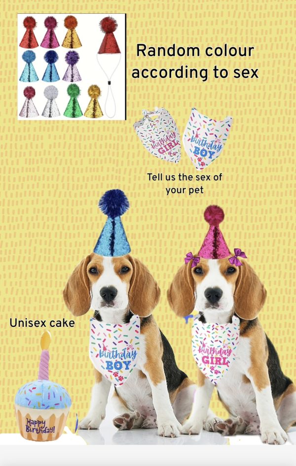 Birthday Set - Image 6