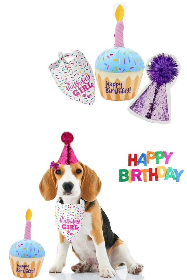 Birthday Set - Image 4