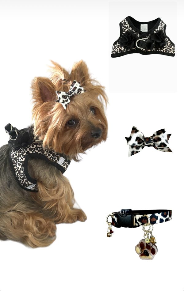 Fashion Collar - Animal Print Set 01 - Image 2