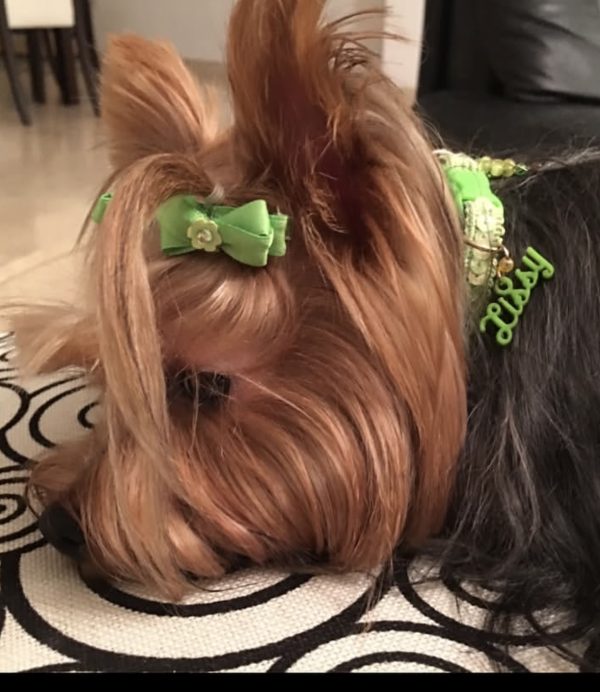 Green Sequins Collar 02 - Image 3