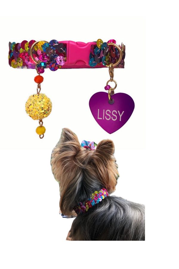 Multicolor Sequins Collar