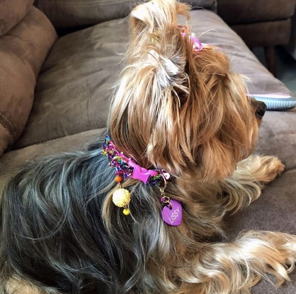 Multicolor Sequins Collar - Image 4
