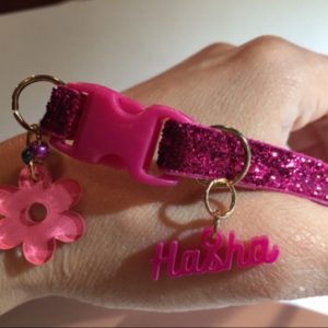 Fuchsia Shiny Collar
