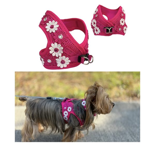 Fuchsia Set - Image 5