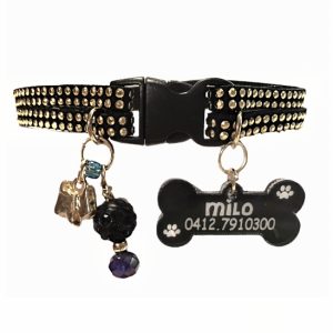 Slim Suede Duo with Gold Studs - Black 01