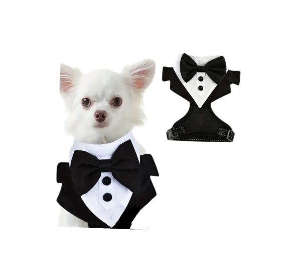 Suit - Male Clothing - Image 3