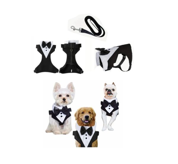 Suit - Male Clothing - Image 2