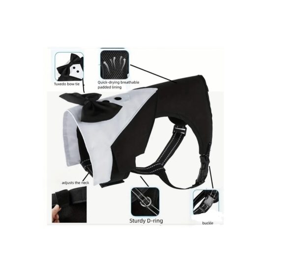 Suit - Male Clothing - Image 8
