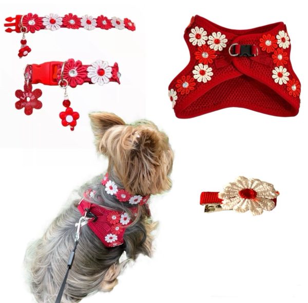 Fuchsia Set - Image 7