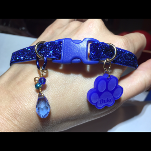 Blue Shine Collar