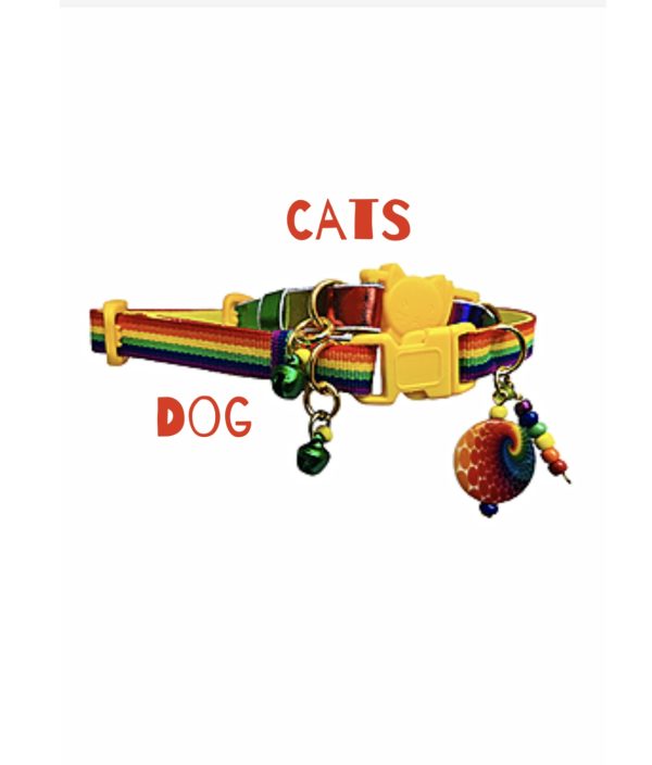 Multicolor Striped - Standard Collar - Image 3