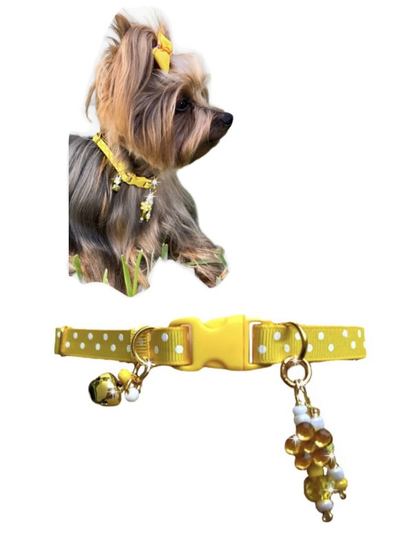 Yellow Polka Dots - Standard Collar - Image 5
